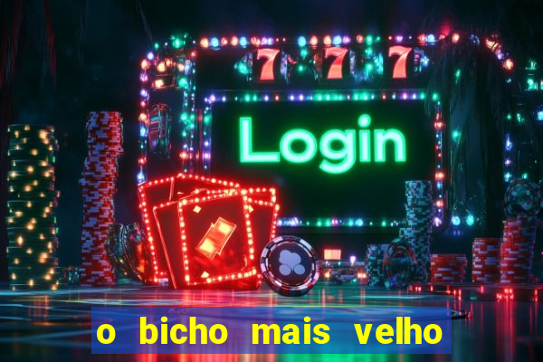 o bicho mais velho da loteria dos sonhos